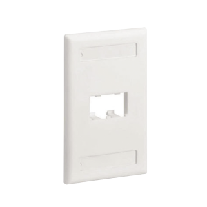 Placa de Pared Vertical Cl?sica, Salida Para 2 Puertos Mini-Com, Con Espacios Para Etiquetas, Color Blanco Mate