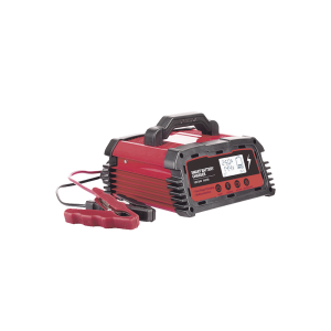 Cargador de Baterías / 12 o 24 Vcc / hasta 250 Ah / 25 A / Display LCD