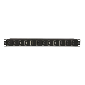 Protector Rack 12 Puertos / RJ45 / 10 GbE / PoE y PoE+ / CAT5e CAT6 CAT6A