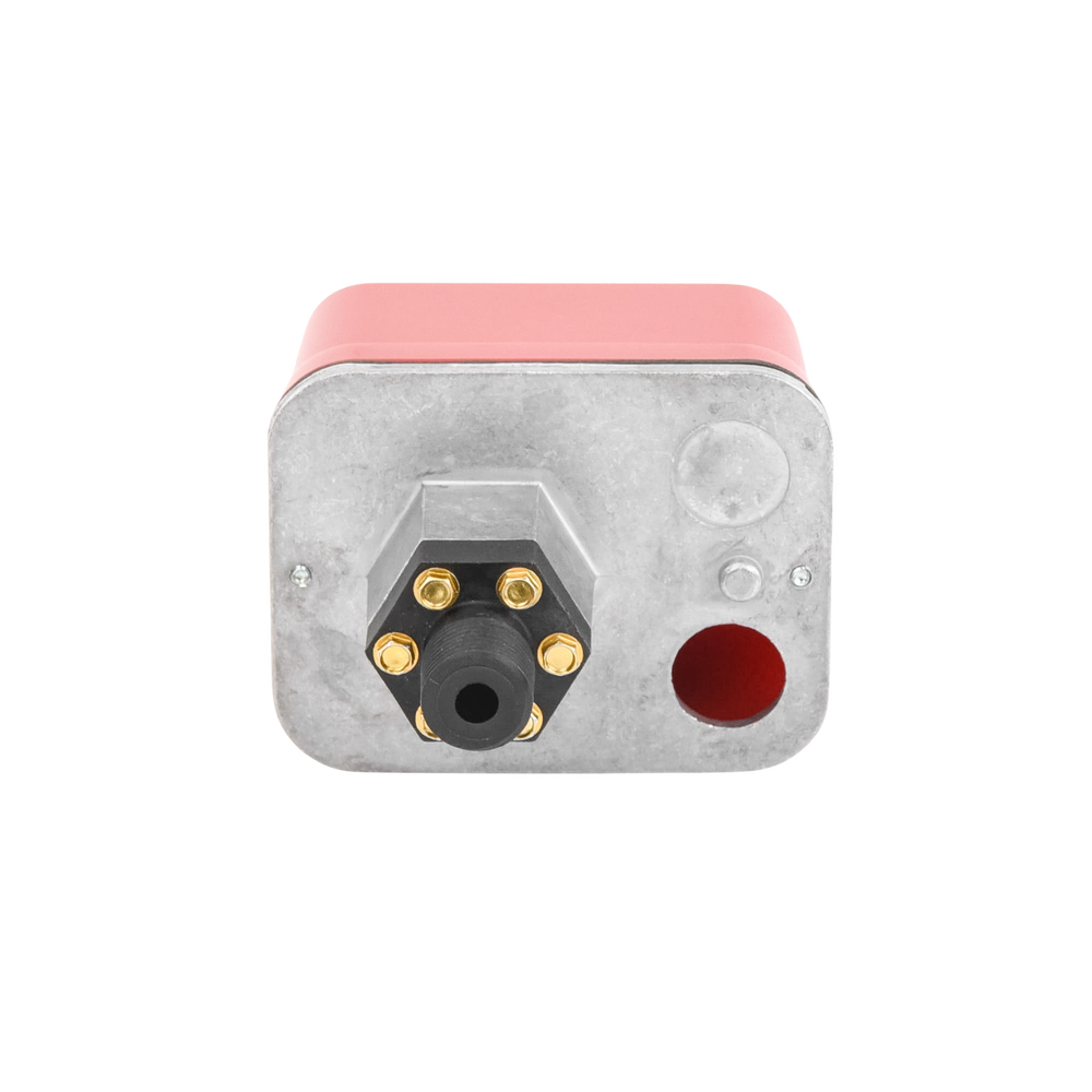 Interruptor de Supervisión de Presión de Agua, Respuesta Ajustable de 10 a 100 PSI, con Doble Relevador - Image 3