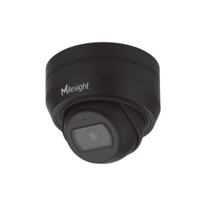 Cámara Dome de Red Motorizada AI / Compresión H.265+ / Resolución 4K 30fps / Lente Motorizada / Protección IP67 IK10 / Almacenamiento 256GB MicroSD