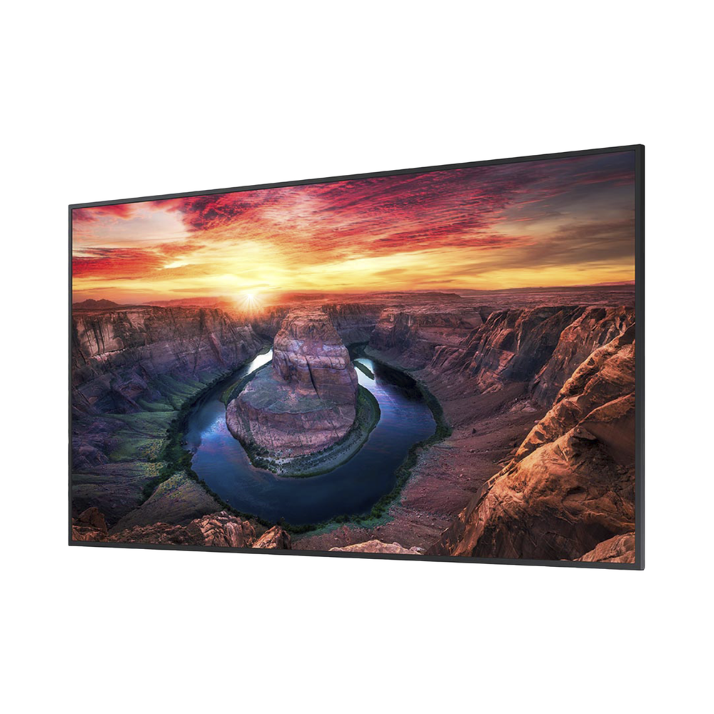 Pantalla Profesional LED de 75", UHD 4K (3840x2160p), Entradas de Video HDMI/DisplayPort, Bocinas Integradas de 10 W. Compatible VESA. Modo de Simulación DICOM - Image 2