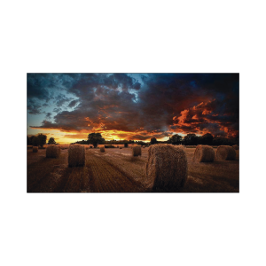 Pantalla Profesional LED de 55" para Video Wall, Full HD (1080p), HDMI/DVI-D/DP, Bisel Ultra Delgado de 2.3mm. Compatible VESA 600x400