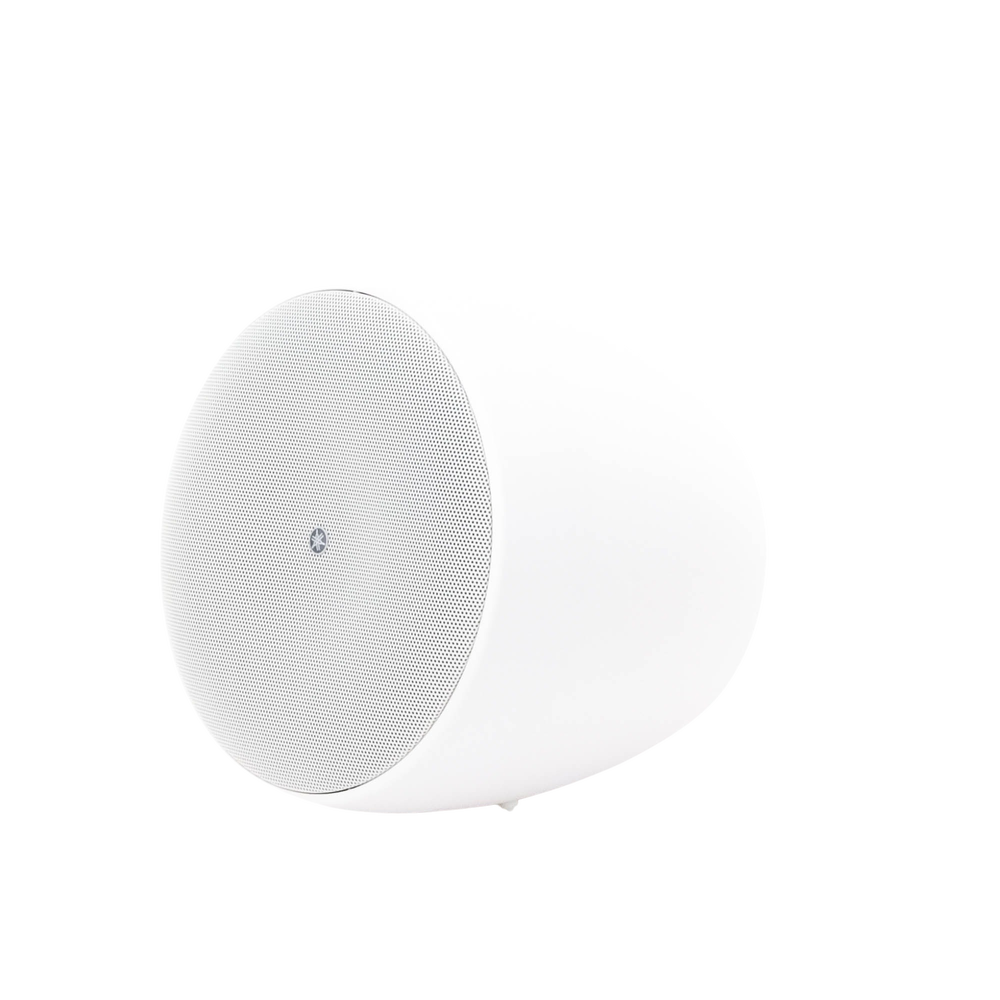 Altavoz Colgante Comercial | 6.5 in | 2 Vias | 300w | 8 Ohms | 70v/100v | Blanco - Image 7