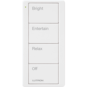 Control remoto inalambrico PICO, con escenas predefinidas para espacio en sala..