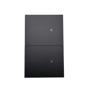 Apagador inalámbrico ZigBee 110-220V 2 GANG